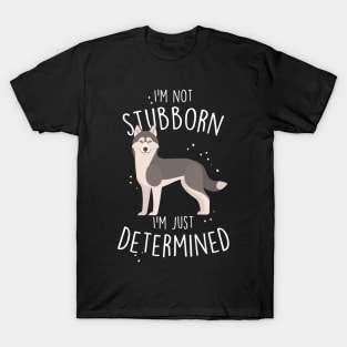 Husky Dog Not Stubborn Just Determined Grey Siberian Husky T-Shirt